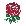 @EnglandRugby Avatar