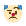 @bobotalkclown Avatar
